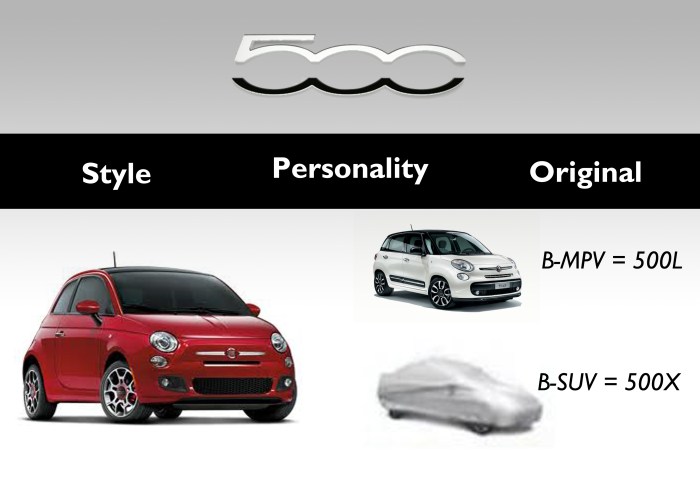 The success of the 500 is the reason for the expansion of the family. Next year the B-SUV will make its debut. 