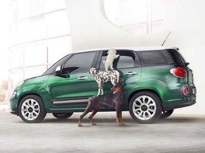 1461072_10151823515709302_187204538_n